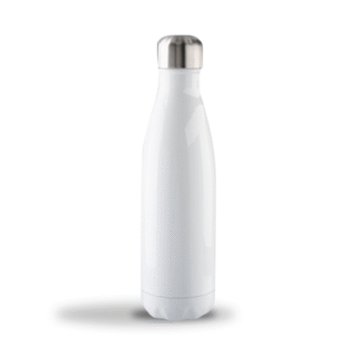 Stainless Steel Bottle